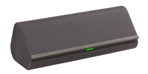 Nuance Audio Plus - Charging case